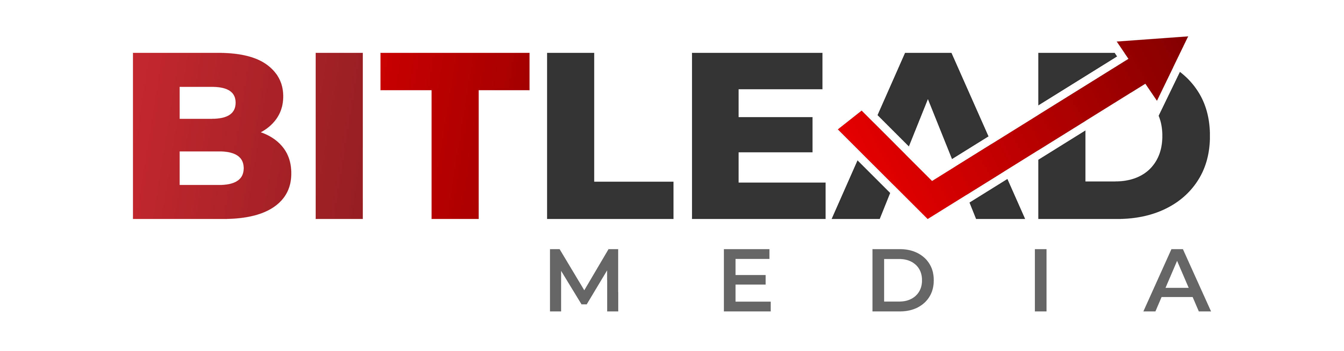 BITLEAD Media Logo